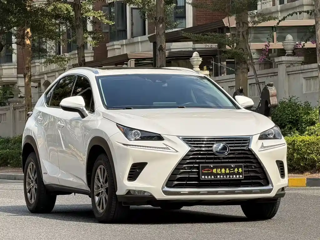 Lexus NX 2020 — фото 1