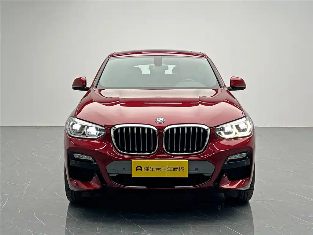 BMW X4 2019 — фото 2