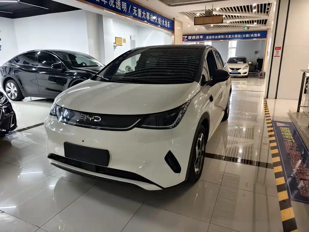 BYD Dolphin 2025 — фото 1