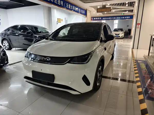 BYD Dolphin 2025