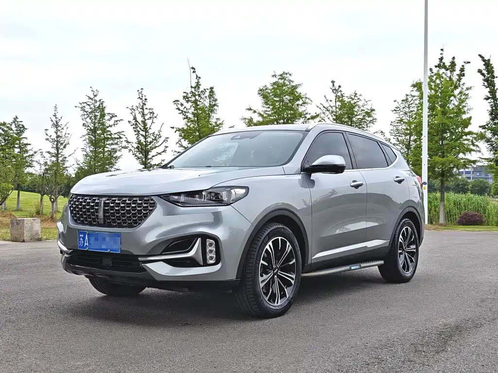 Wey VV6 2020