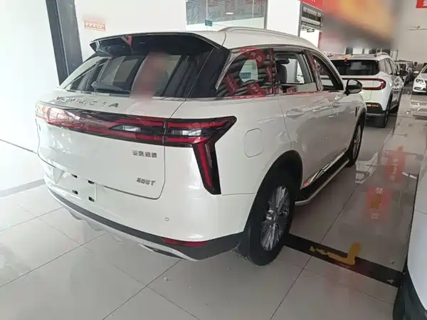 Venucia Star 2020