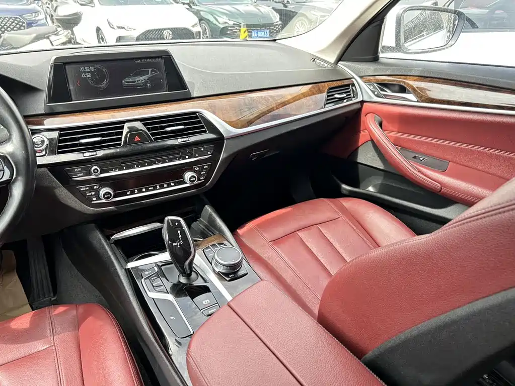 BMW 5 Series 2018 — фото 9