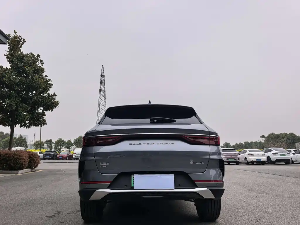 BYD PLUS New Energy 2024 — фото 4