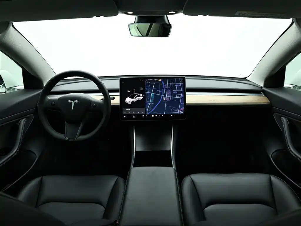 Tesla Model 3 2021 — фото 14