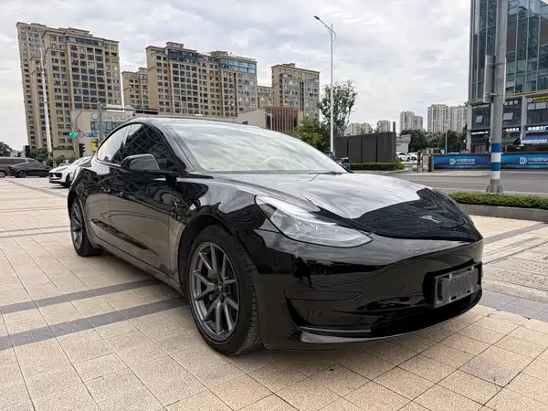 Tesla Model 3 2021