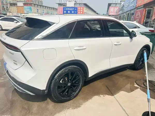 Venucia Big V 2022