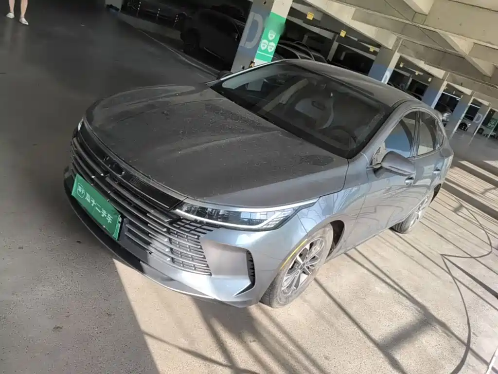 BYD Destroyer 05 2024 — фото 2
