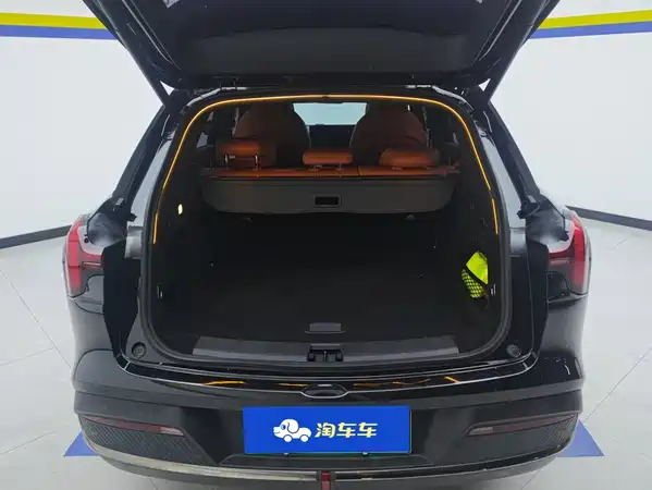 Neta L 2024