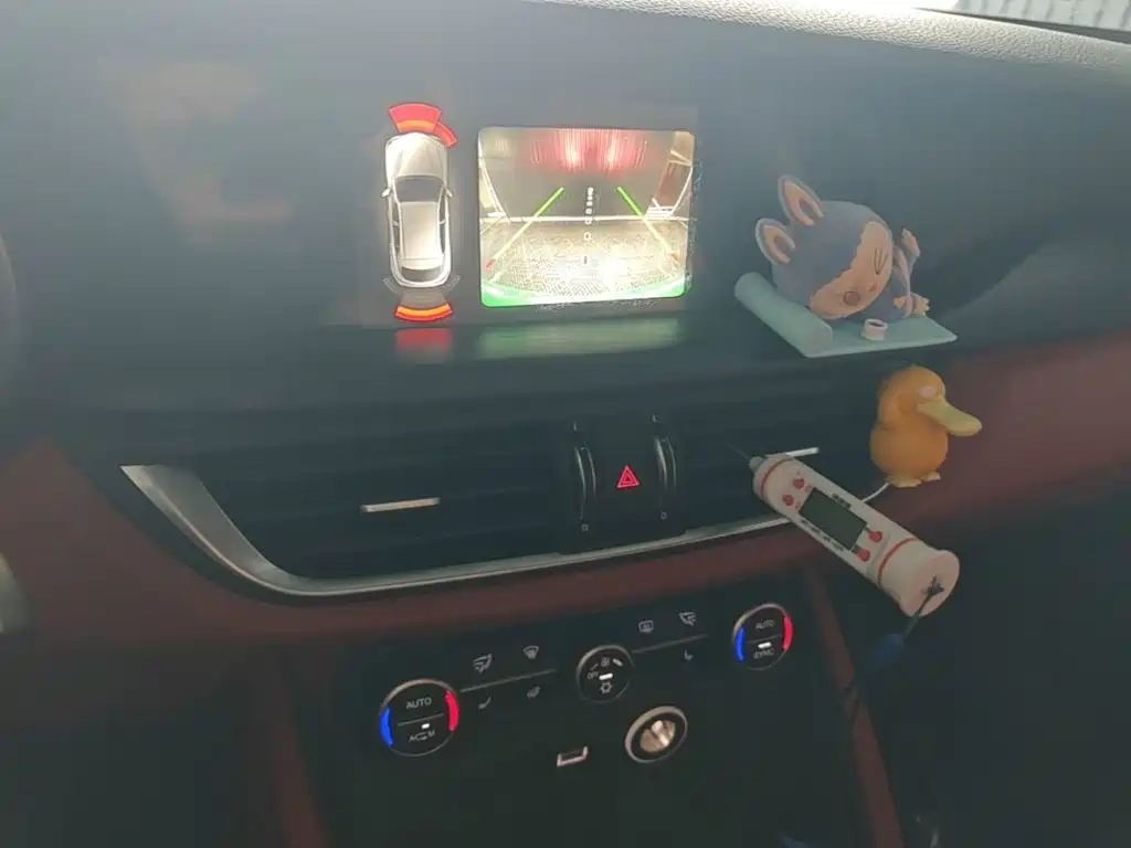 Alfa Romeo Stelvio 2019 — фото 13