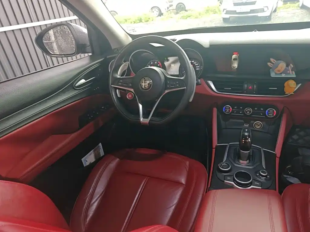 Alfa Romeo Stelvio 2019 — фото 11