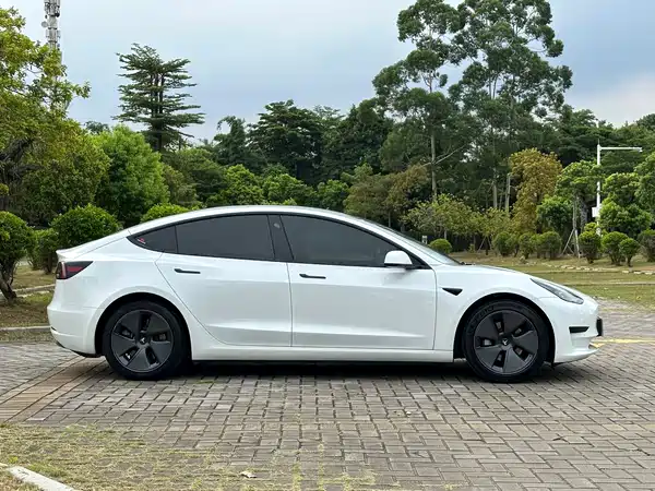 Tesla Model 3 2021