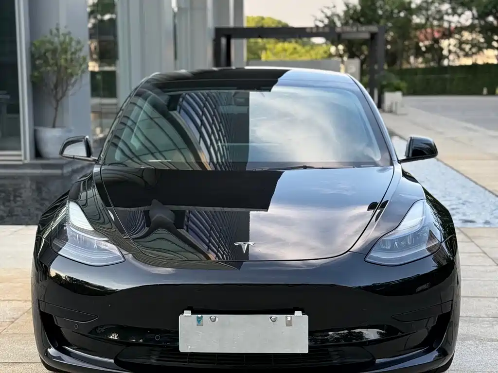 Tesla Model 3 2021 — фото 2