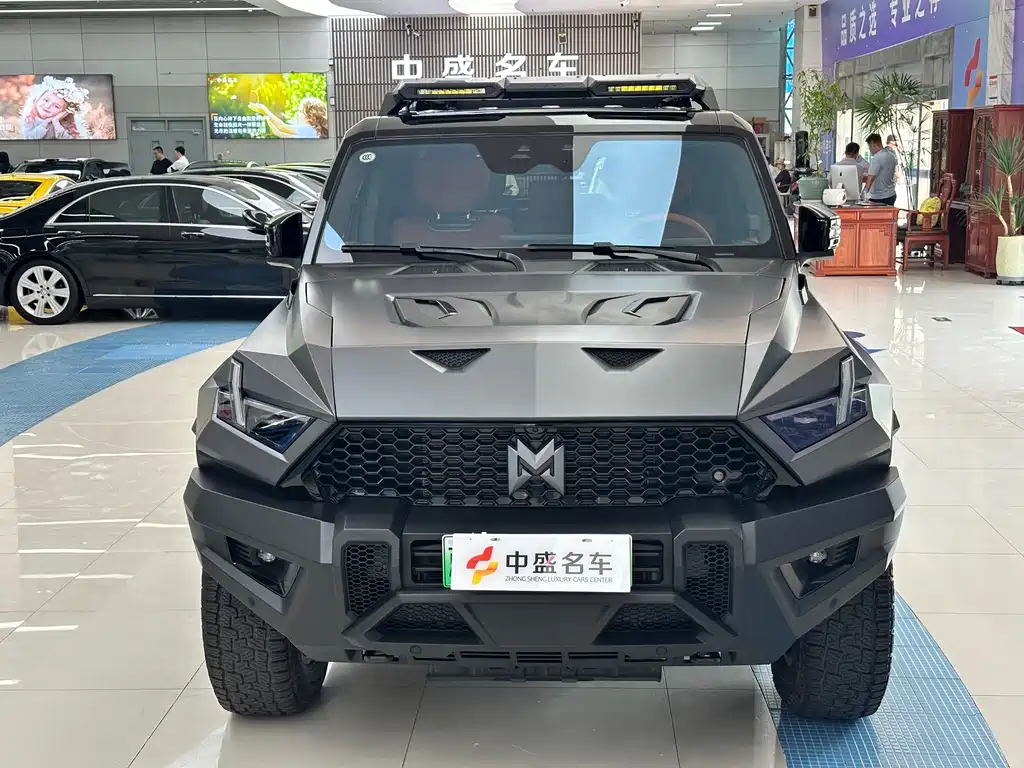 Mengshi 917 2026