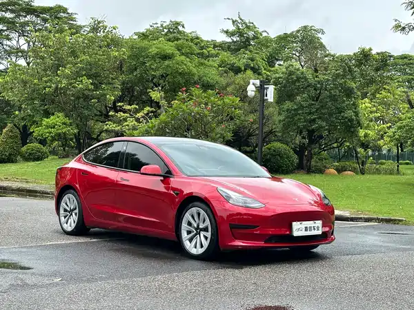 Tesla Model 3 2021