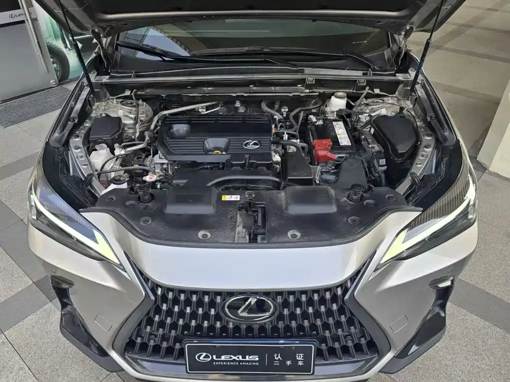 Lexus NX 2023 — фото 13