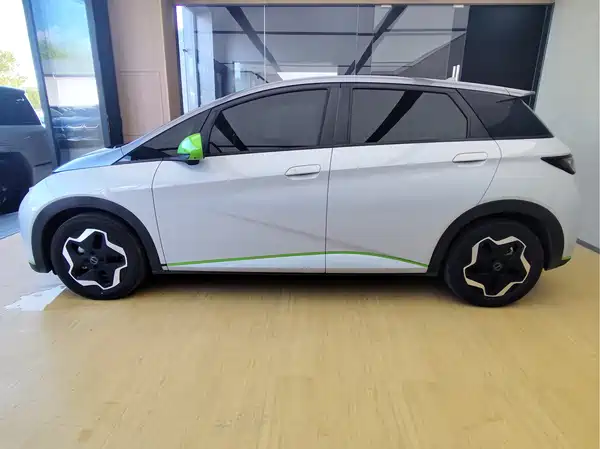 BYD Dolphin 2021