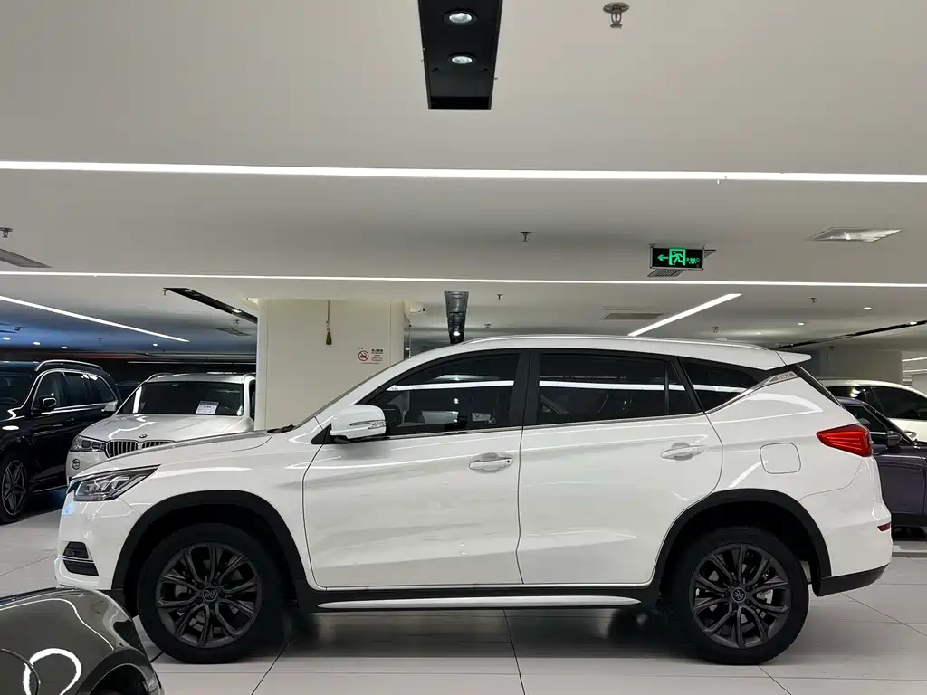 BYD New Energy 2019