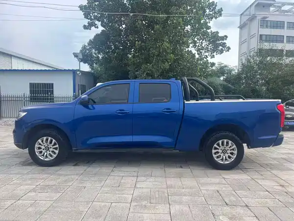 Great Wall Poer 2020