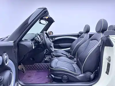 MINI MINI 2013