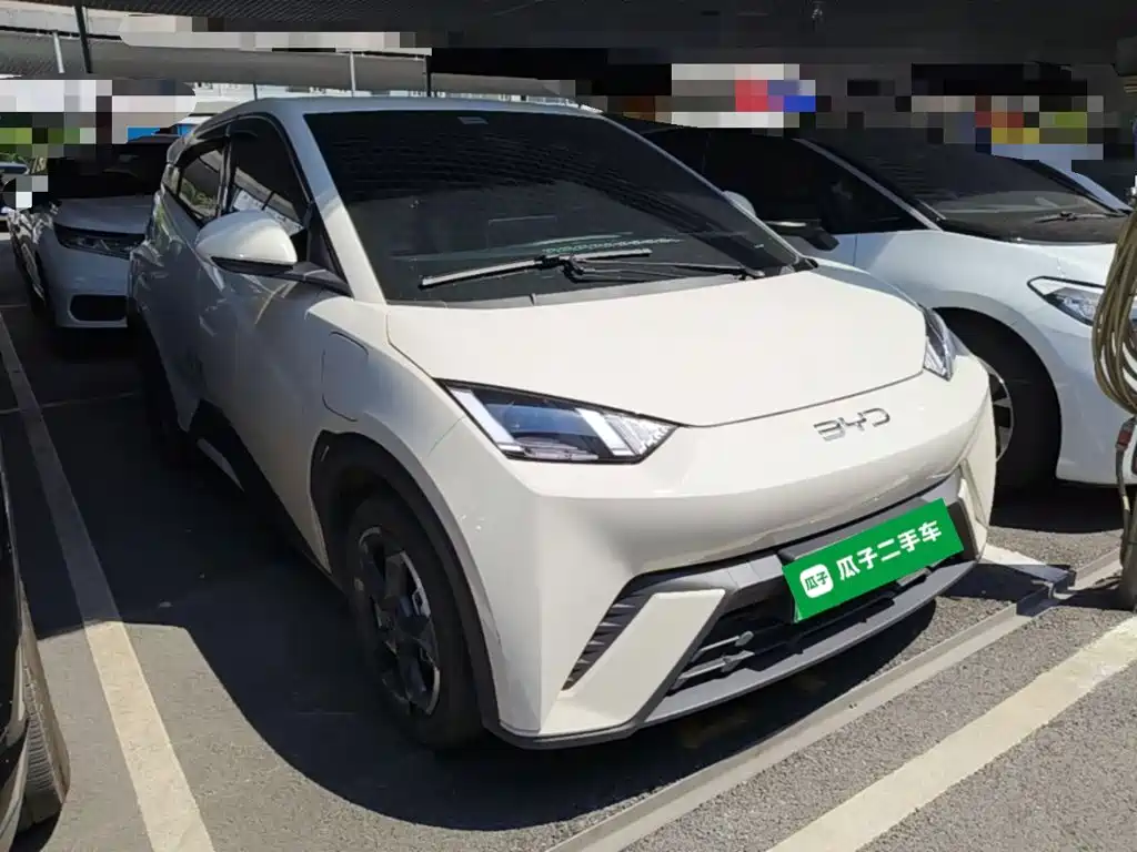 BYD Seagull 2024