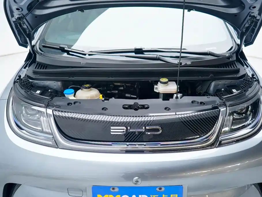 BYD Dolphin 2023