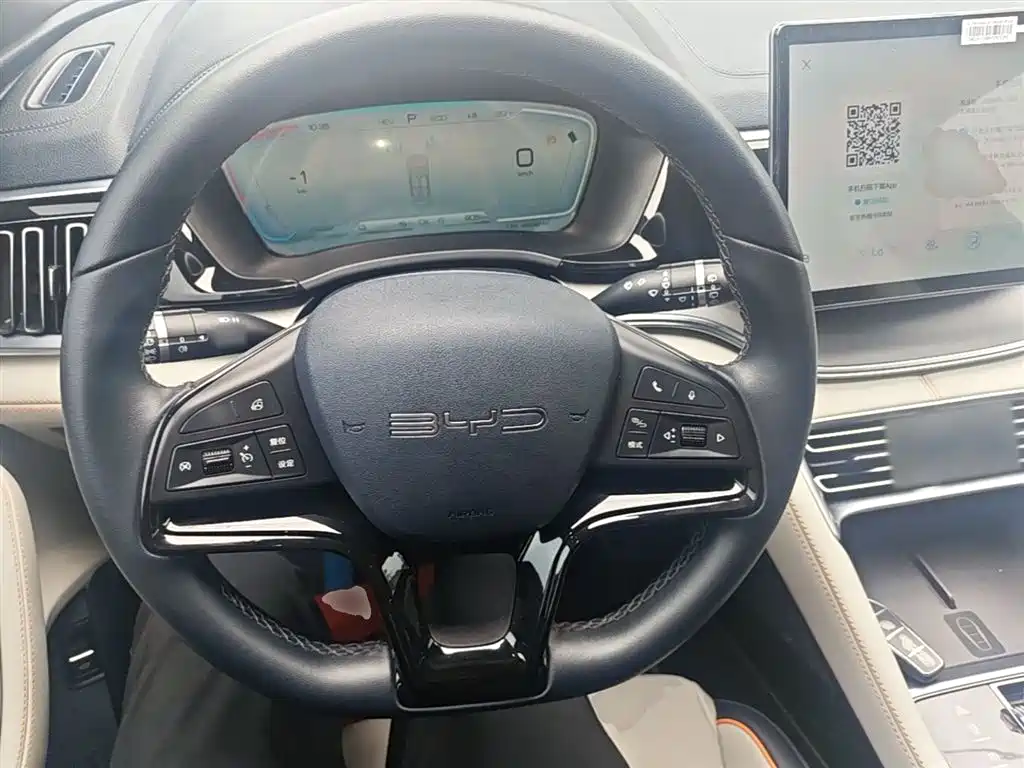 BYD PLUS New Energy 2024 — фото 11