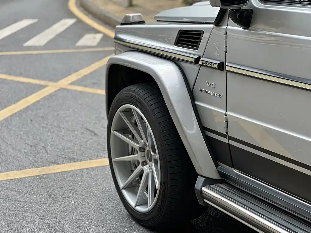 Mercedes-Benz G-Class AMG 2010 — фото 18