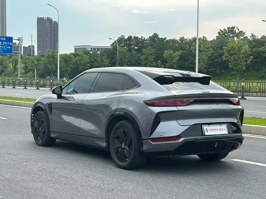 BYD L EV 2024