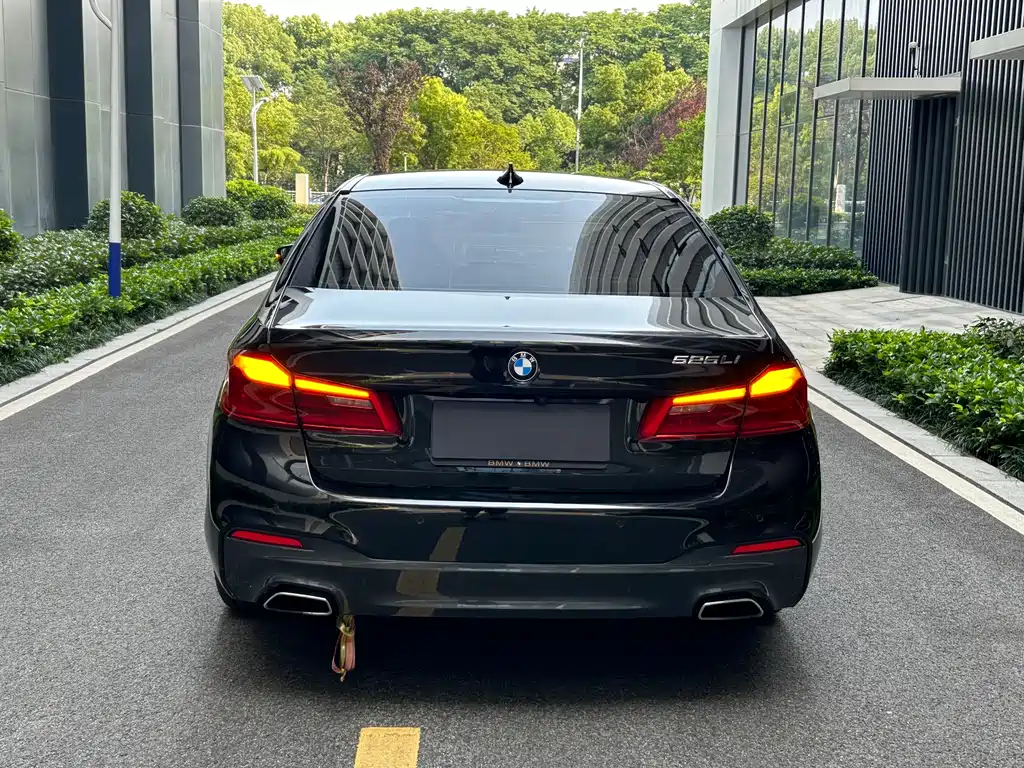 BMW 5 Series 2019 — фото 9
