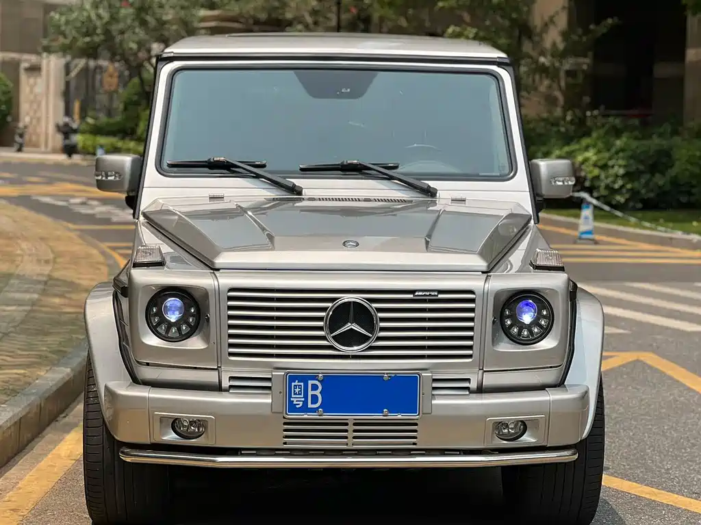 Mercedes-Benz G-Class AMG 2010 — фото 2