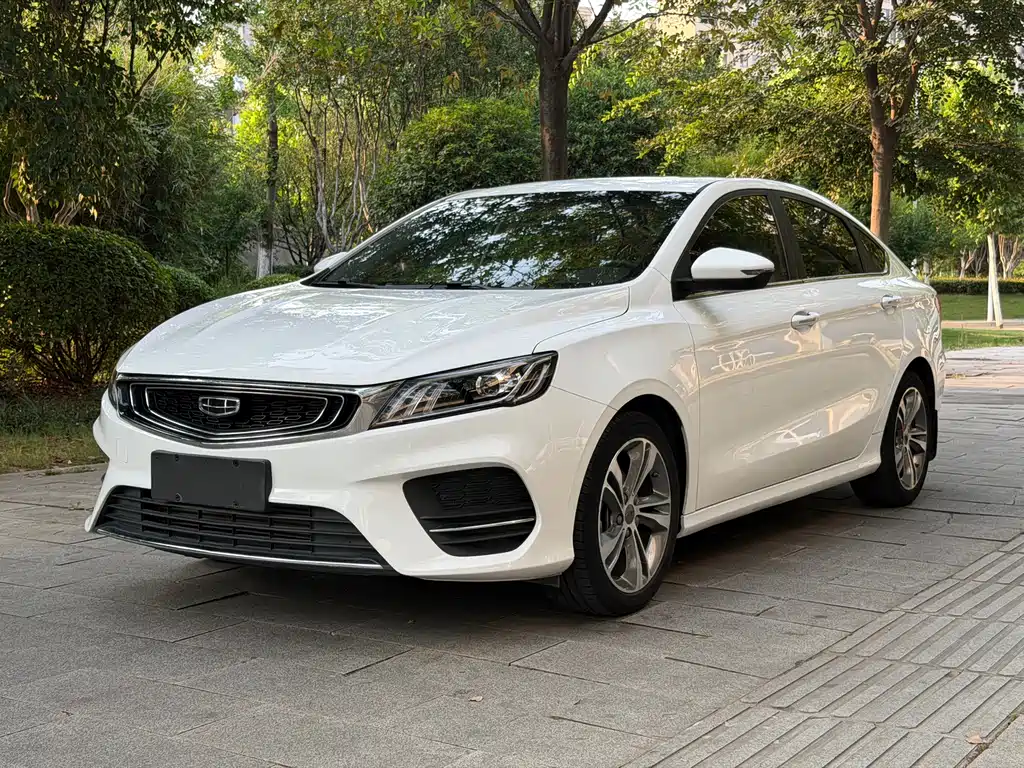 Geely Binrui 2019