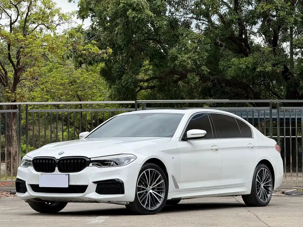 BMW 5 Series 2020