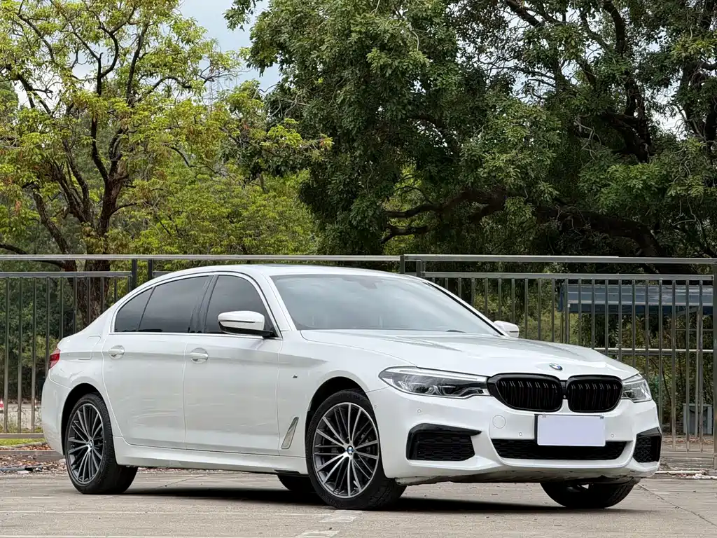 BMW 5 Series 2020