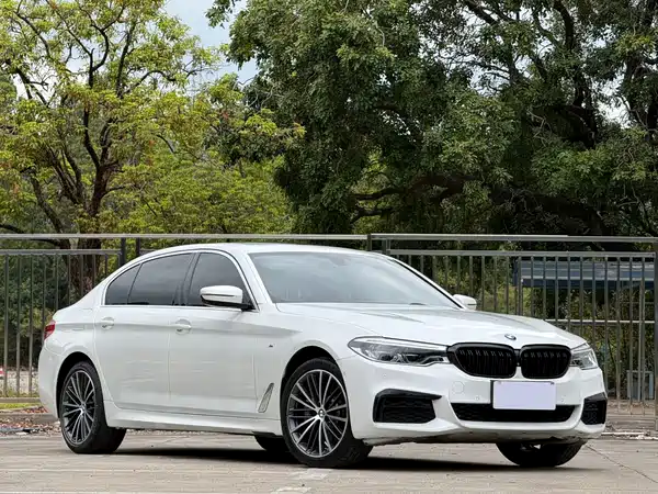 BMW 5 Series 2020