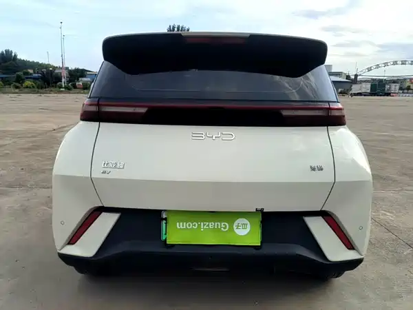 BYD Seagull 2024