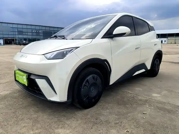 BYD Seagull 2024
