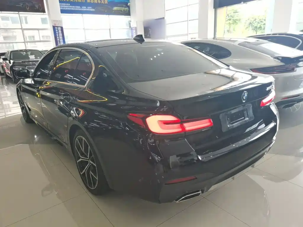 BMW 5 Series New Energy 2021