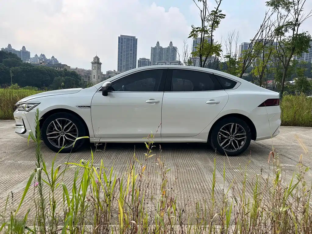BYD Qin PLUS 2021