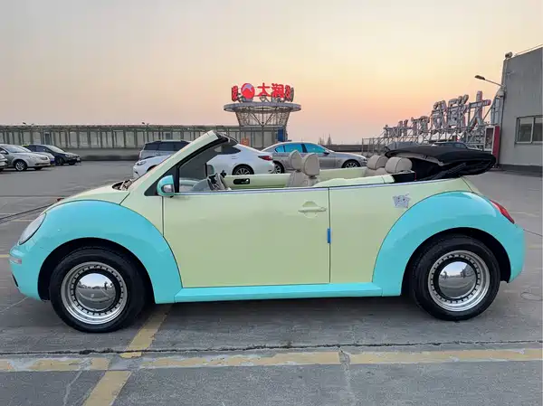 Volkswagen Beetle 2010