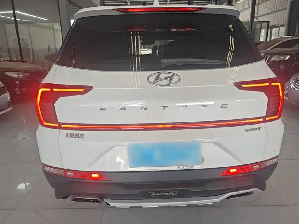 Hyundai Santa Fe 2020 — фото 6
