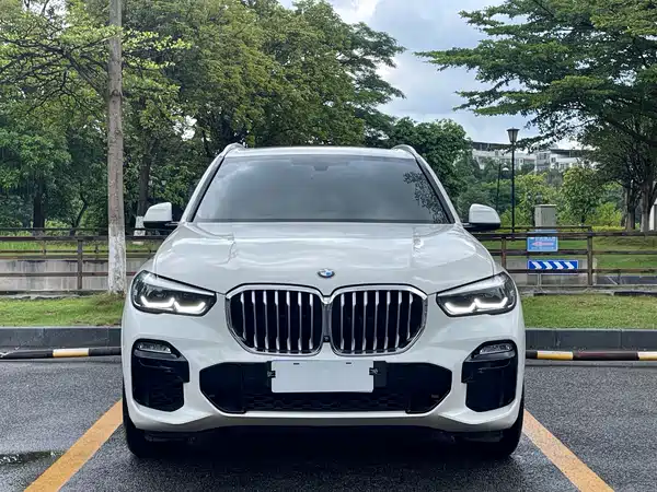 BMW X5 2022