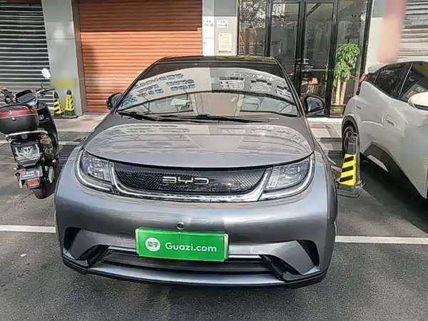 BYD Dolphin 2021