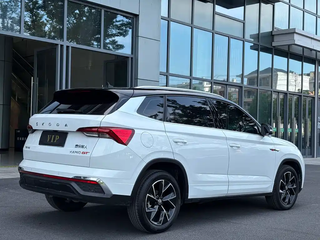 Skoda Kamiq 2024 — фото 14