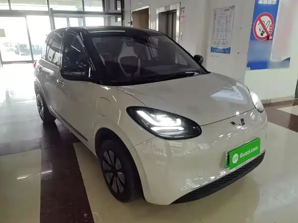 Wuling Bingo 2024