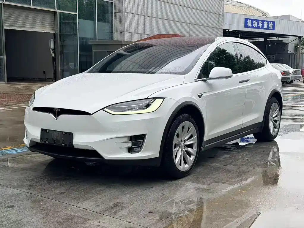 Tesla Model X 2019 — фото 1