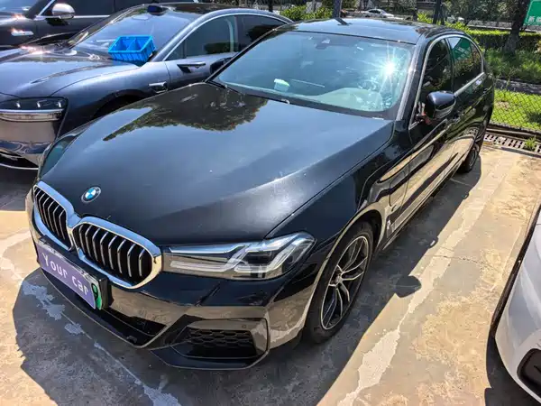 BMW 5 Series New Energy 2021