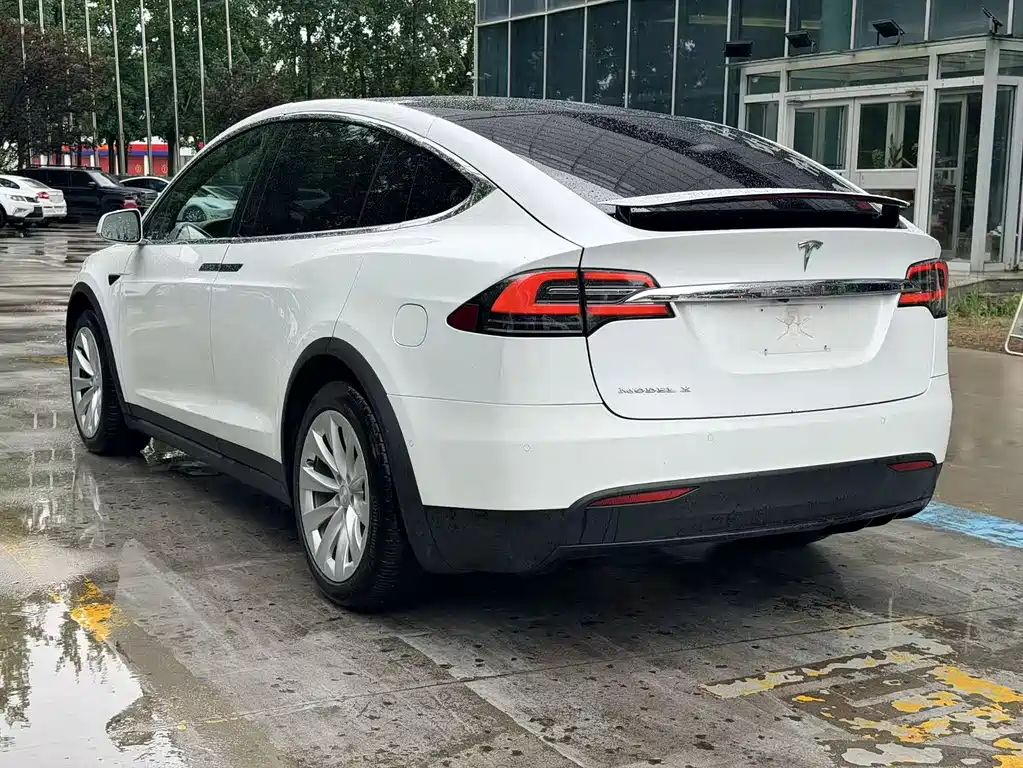 Tesla Model X 2019 — фото 4