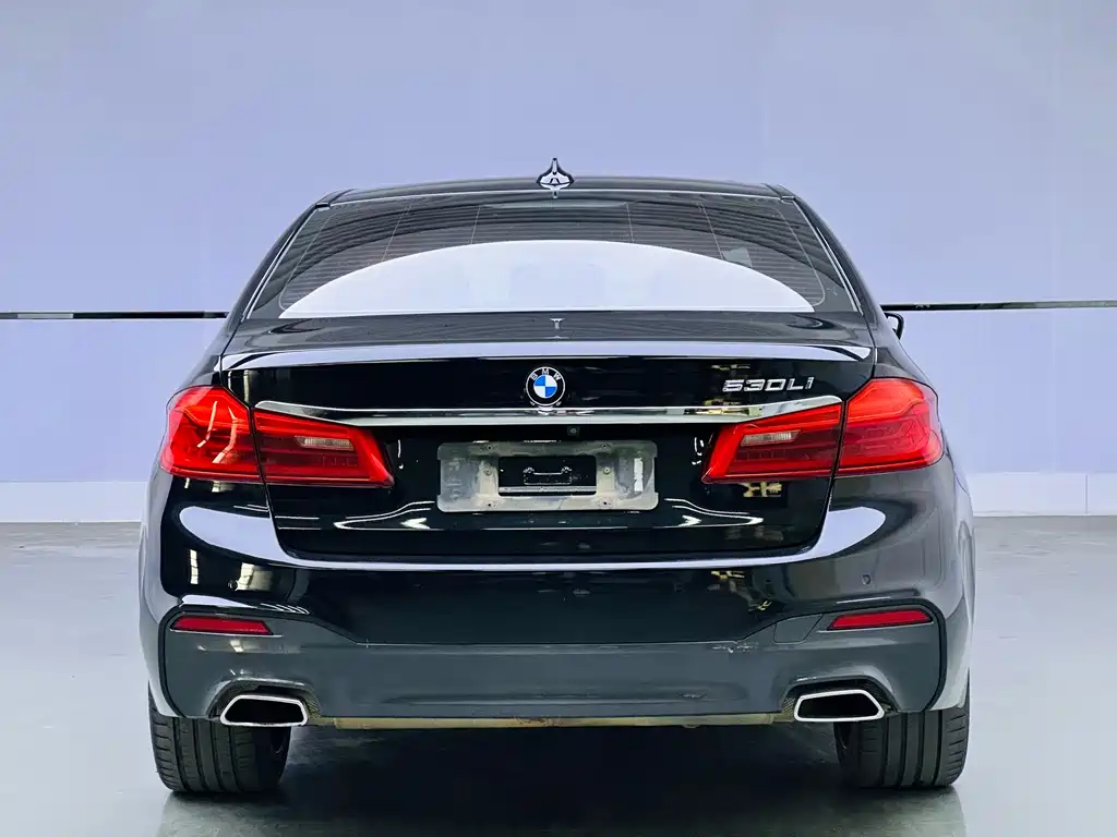 BMW 5 Series 2019