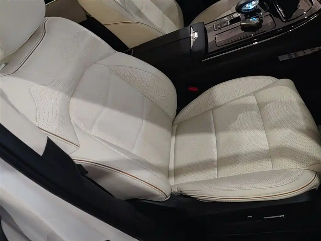 GAC Motor Trumpchi E9 2023 — фото 25